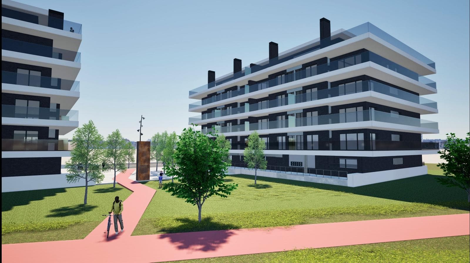 Pinus Urban Garden II
